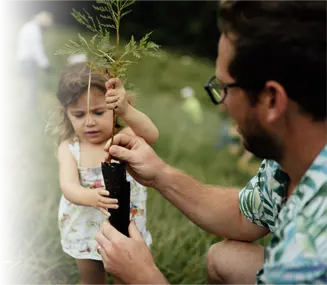 Lease a car, plant a tree